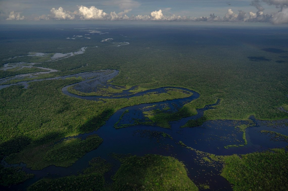 Aerial view of the Amazon rainforest