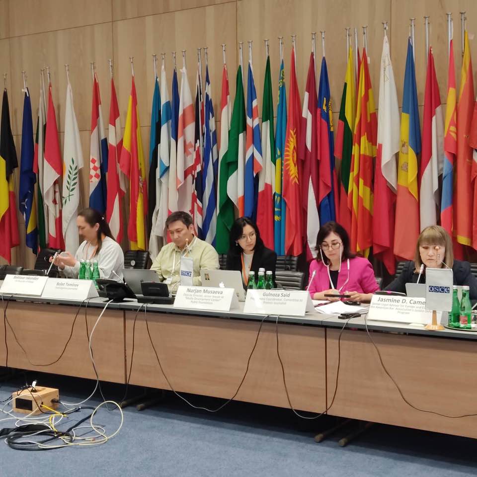 OSCE Vienna, March 13, 2023.jpg